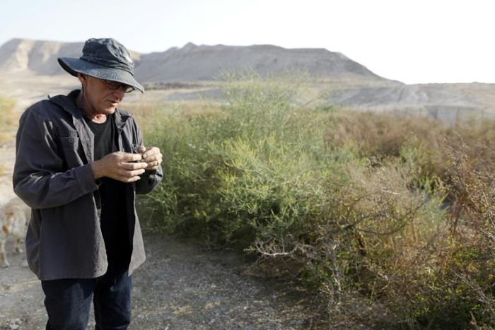 Israeli Guy Erlich's passion for ancient plants has led him to remix blends of perfume and incense that he believes were used in biblical times