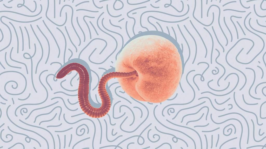 All you need to know about pinworms