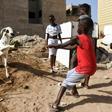 In Senegal, Muslim families join Christians as they prepare for the feast of the Eid al-Adha
