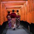 The serenity of Kyoto's ancient shrines draws less-than-peaceful daily crowds, but Pico Ayer says tourists can still walk their own path