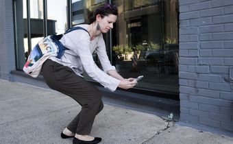 'Squash It! Smash It!': Pennsylvania Implores Residents to Kill an Invasive Bug on Sight