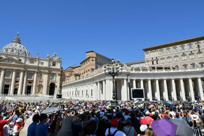 Pope Francis has apologised for predatory priests but cover-ups in the Vatican have severely damaged trust