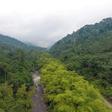 Green Gabon: The small Central African country is a rare jewel -- 90 percent of its area is covered by forest