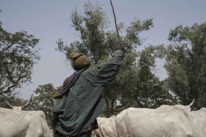 The herdsmen of northern extraction have been blamed for a spate of killings across Nigeria