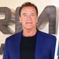 How Chris Pratt Earned Arnold's Respect in the Gym