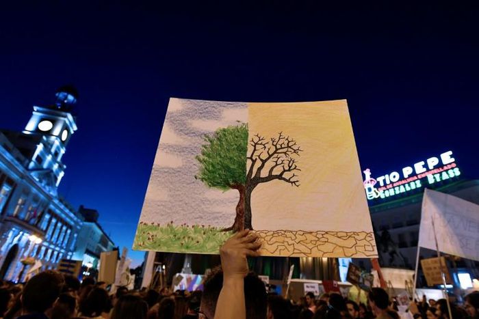 Protesters are also gearing up to make their voice heard when the climate summit opens in Madrid on December 2