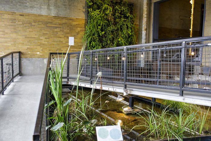 Feeding Cities With Less Waste