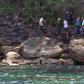 British tourist Amelia Bambridge did not check out from her hostel, triggering a search party of more than 100 people