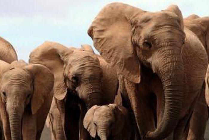 Ambassade de France à Windhoek, Namibie