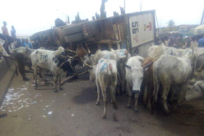Scene of the accident on the Lagos-Abeokuta Expressway [The Nation]