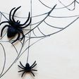 How To Get Rid Of Spiders, According To Experts