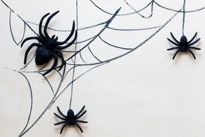 How To Get Rid Of Spiders, According To Experts