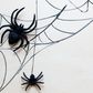 How To Get Rid Of Spiders, According To Experts
