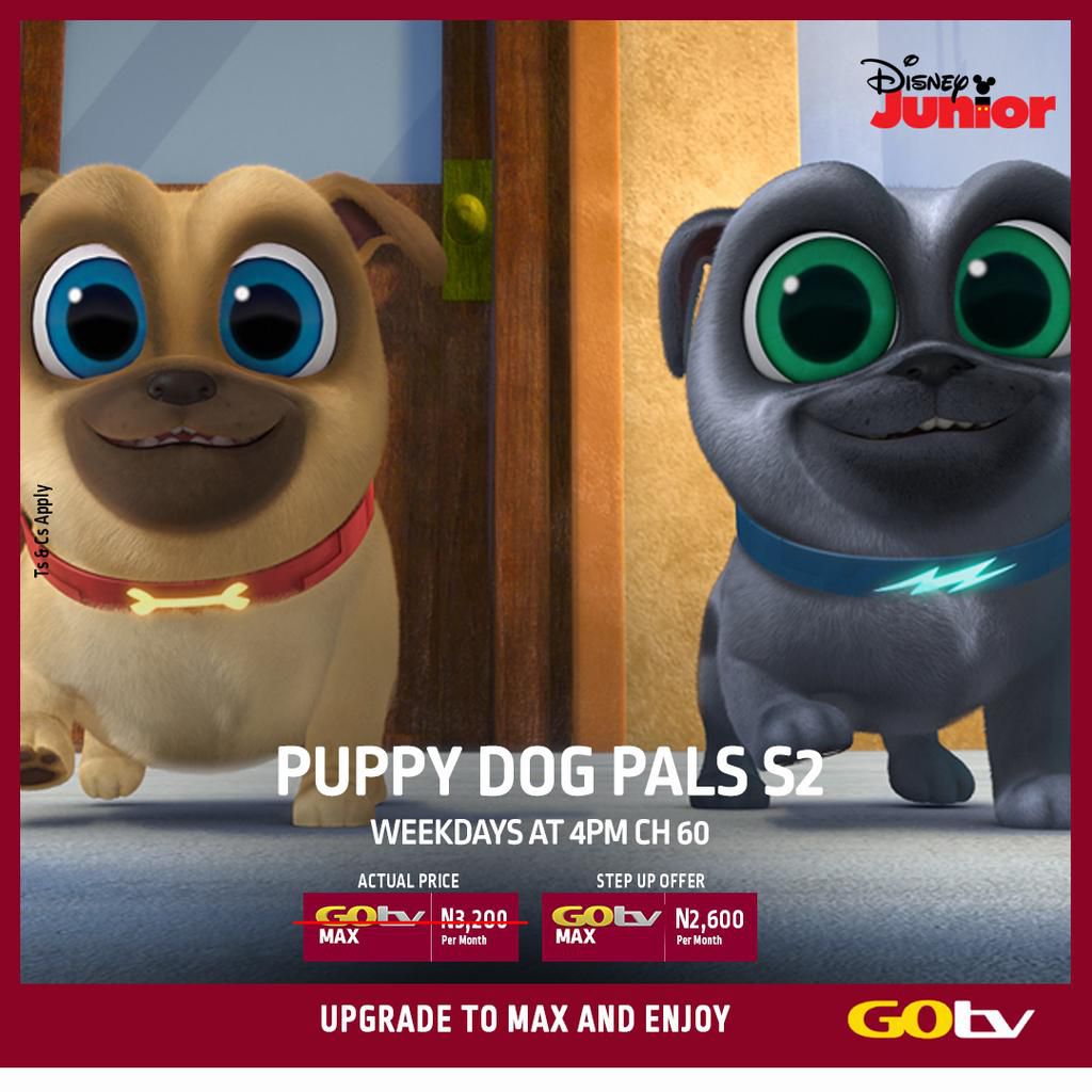 Puppy Dog Pals