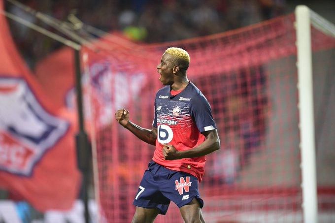 Victor Osimhen (Twitter/Lille)
