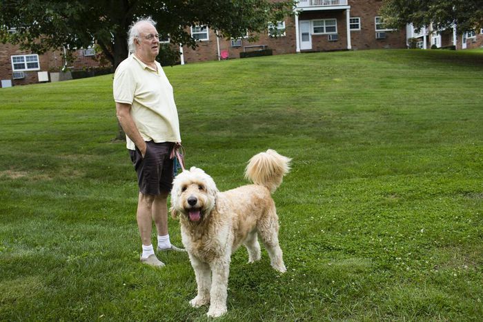 A Pit Bull Was Strangled by a Neighbor. Then Came #JusticeforRex.