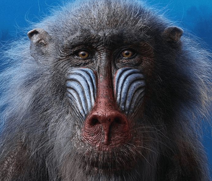 Teach your kids these valuable lessons from The Lion King