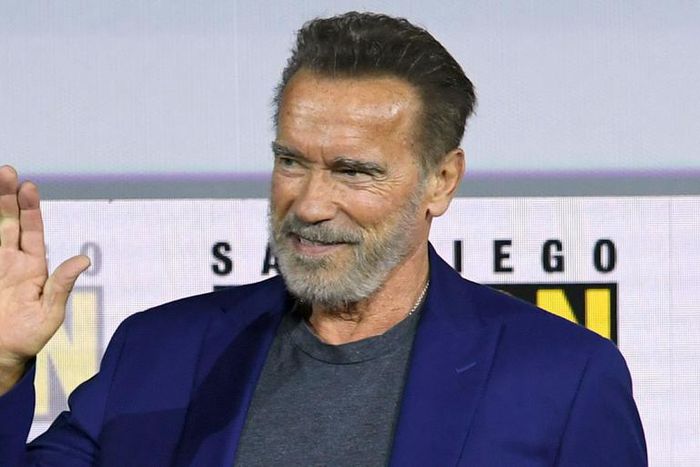 Arnold Really Wants to Make Another 'Conan' Movie