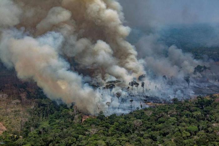 Amazon fires have drawn comparison to African rainforest fires, but experts say that is risky
