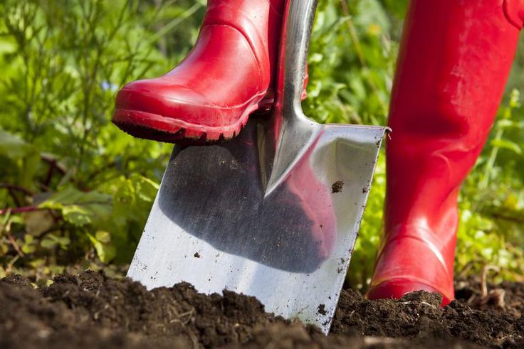 Dr. Pimple Popper Pop Teen's Cluster Of Whiteheads