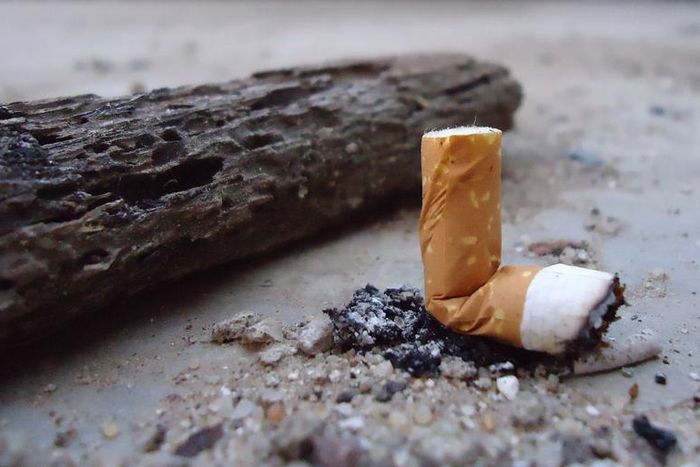 Dr. Pimple Popper Extracts 'Cigarette' Blackhead