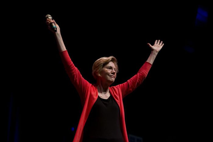 Many Democrats Love Elizabeth Warren. They Also Worry About Her.