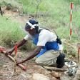 Angola is littered with mines from its 27-year civil war -- clearing the threat is slow and dangerous work