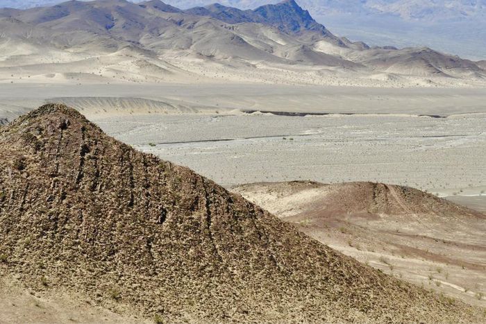 How Life on Our Planet Made It Through Snowball Earth