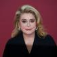 The French actress Catherine Deneuve is in a Paris hospital after suffering a small stroke, her family told AFP Wednesday
