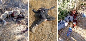 Troops kill 13 Boko Haram, ISWAP terrorists in Borno. [Twitter/@fredwave]