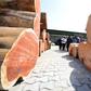 The hard wood of the Kevazingo tree, a famous species in Gabon, is in high demand especially in Asia