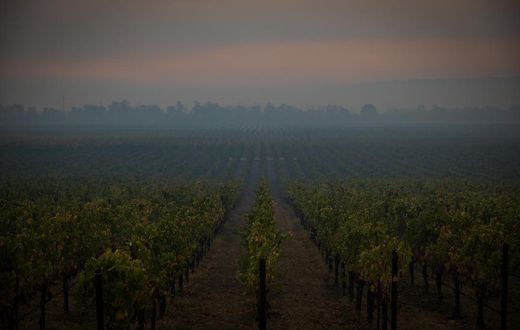 Fires Force Thousands to Evacuate as Governor Declares State of Emergency