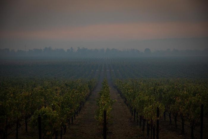 Fires Force Thousands to Evacuate as Governor Declares State of Emergency