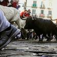 Participants take place in the San Fermin festival running of the bulls in Pamplona, northern Spain in July 2019