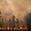 Deadly bushfires have ravaged eastern Australia
