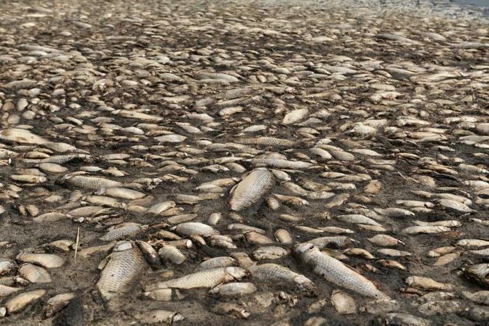 The lake has experienced the phenomenon repeatedly over the last few decades
