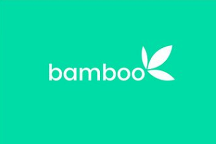 Bamboo is a Nigerian company using tech to facilitate investing overseas easily