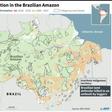 Map of deforestation and indigenous territories in Brazil, including the area where a land defender was killed in an ambush by loggers on November 1, 2019