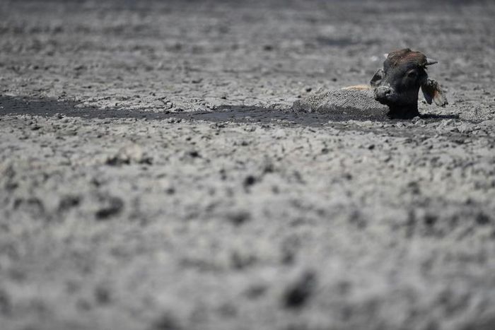 Southern Africa has been hard hit by intensifying extreme weather conditions such as drought and flood