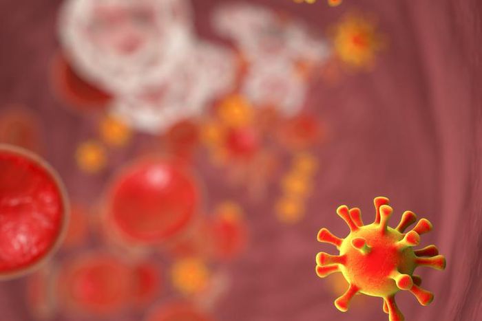 New HIV Strain Discovered