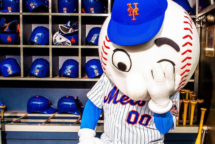 You're Wired to Support Your Favorite Sports Team