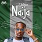 Dotman releases new single, 'Naija #SayNoToXenophobia' (808 Records)
