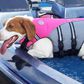 This Dog Life Jacket Gets Viral Review On Twitter