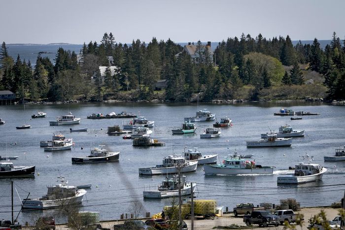 An Artist's Legacy Challenges an Island