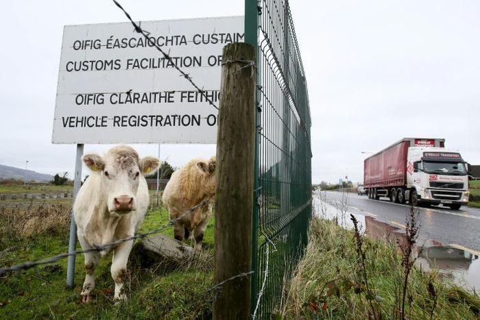 (FILES) In this file photo taken November 14, 2018, cows stands under a sign at a disused Irish border vehicle registration and customs office outside Dundalk, Ireland, near the border crossing with Northern Ireland; the issue of how to respect EU rule...