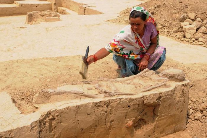 A woman cleans a burial site belonging to the Indus Valley Civilization during an archeological excavation in Baghpat, India in 2018; scientists have sequenced the genome of an individual from the ancient civilization for the first time