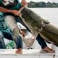 Fishermen land a pirarucu -- one of the world's biggest freshwater fish -- at the Amana Sustainable Development Reserve in Brazil's Amazonas state