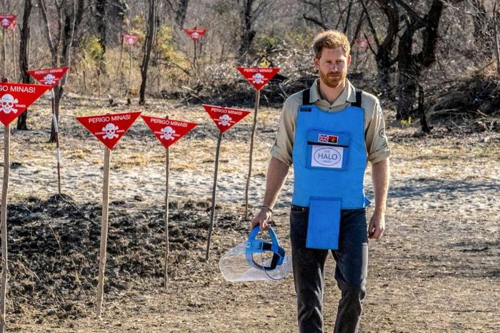Prince Harry followed in his mother Diana's footsteps when he visited Angola to highlight their landmine-clearance programme