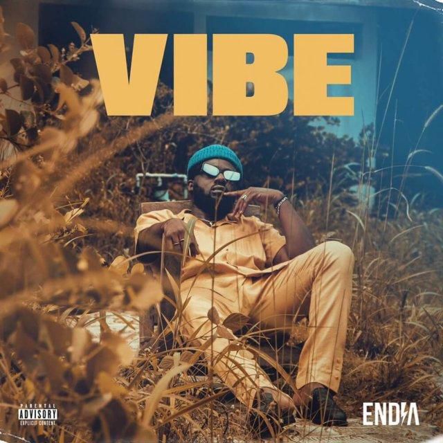 Endia releases new single, 'Vibe.' (Boomplay)