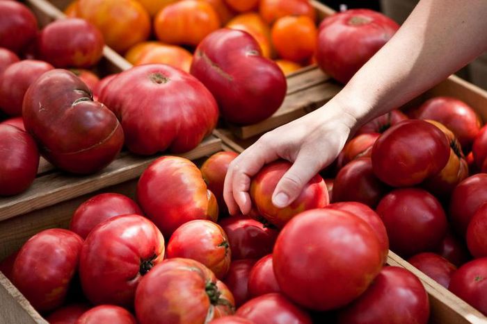 There's Only One Right Way to Eat a Tomato